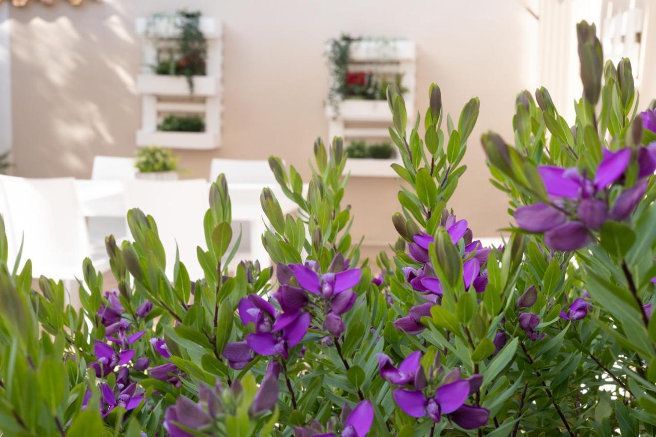 Bed and Breakfast Emotions Fiumicino Exterior foto