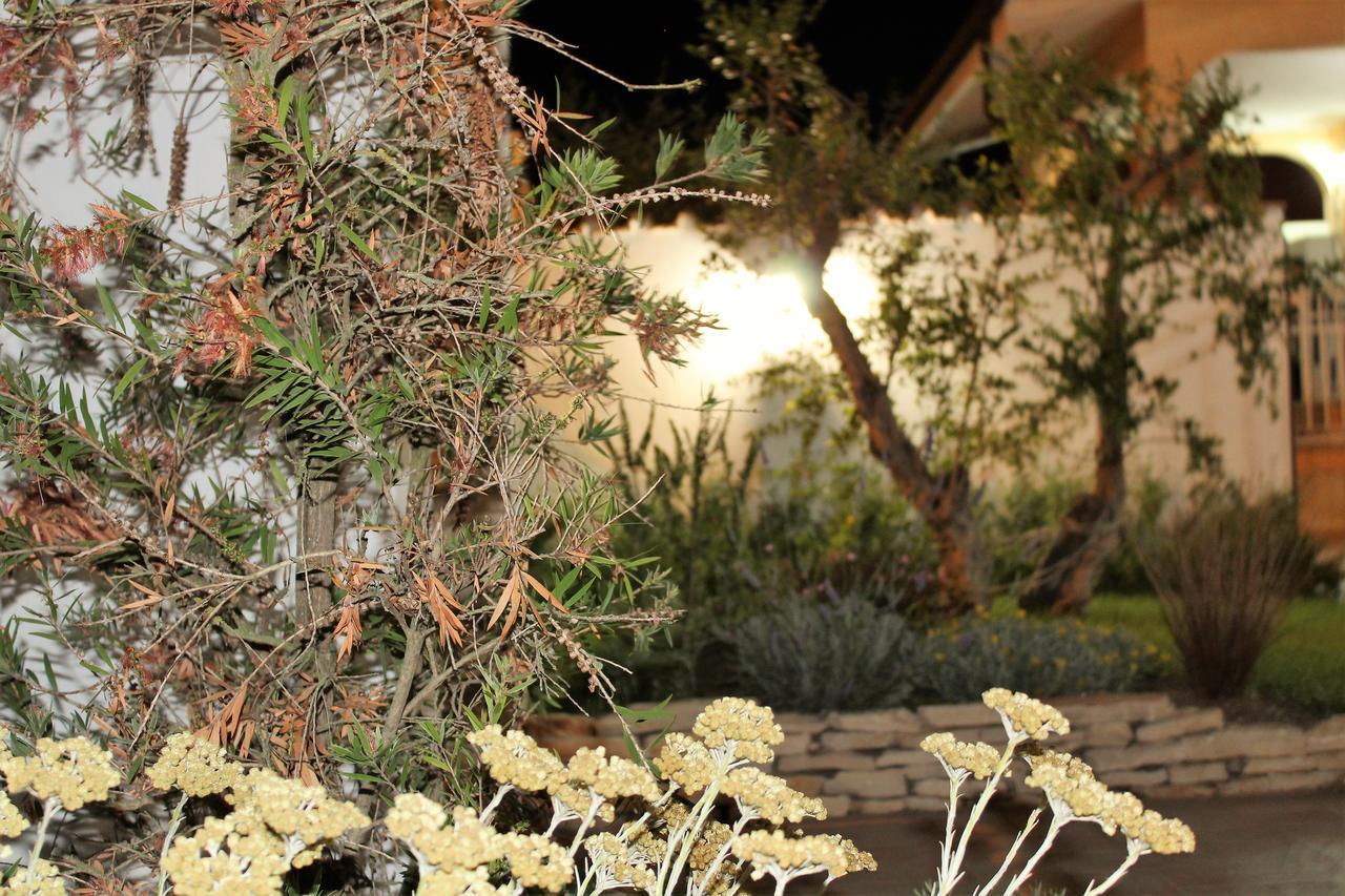 Bed and Breakfast Emotions Fiumicino Exterior foto