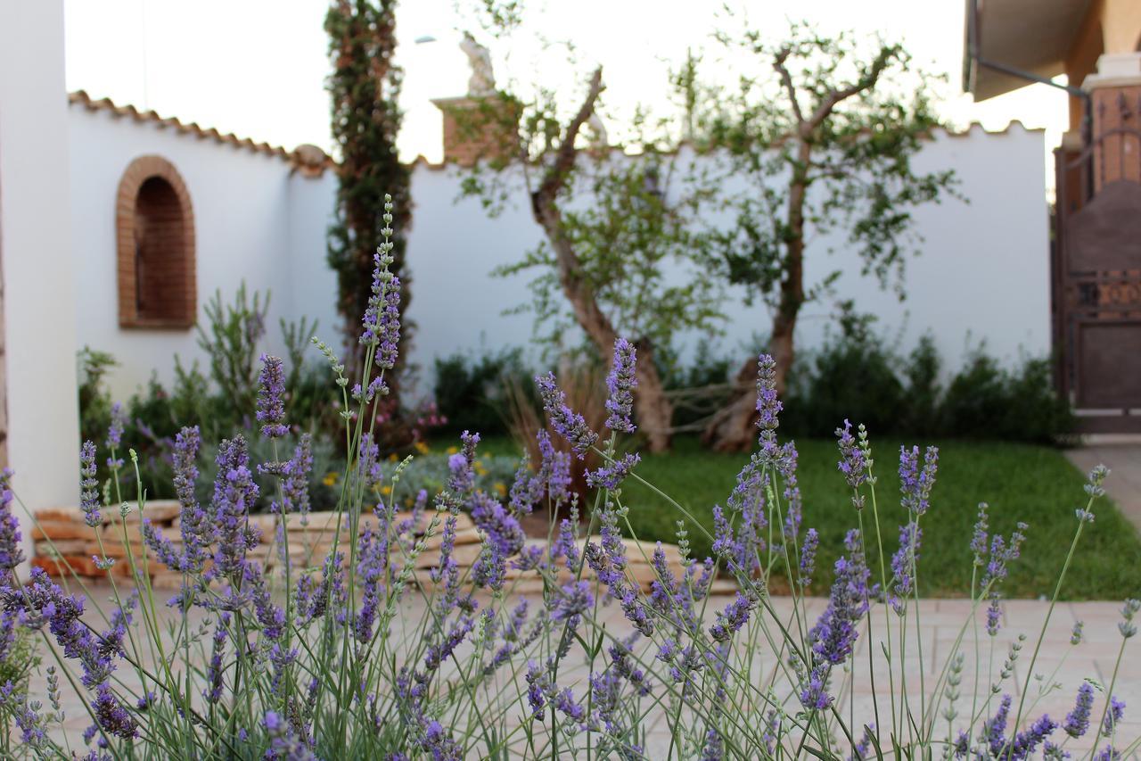 Bed and Breakfast Emotions Fiumicino Exterior foto